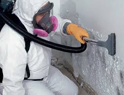 Best Forensic Mold Investigation  in Oregon, OH